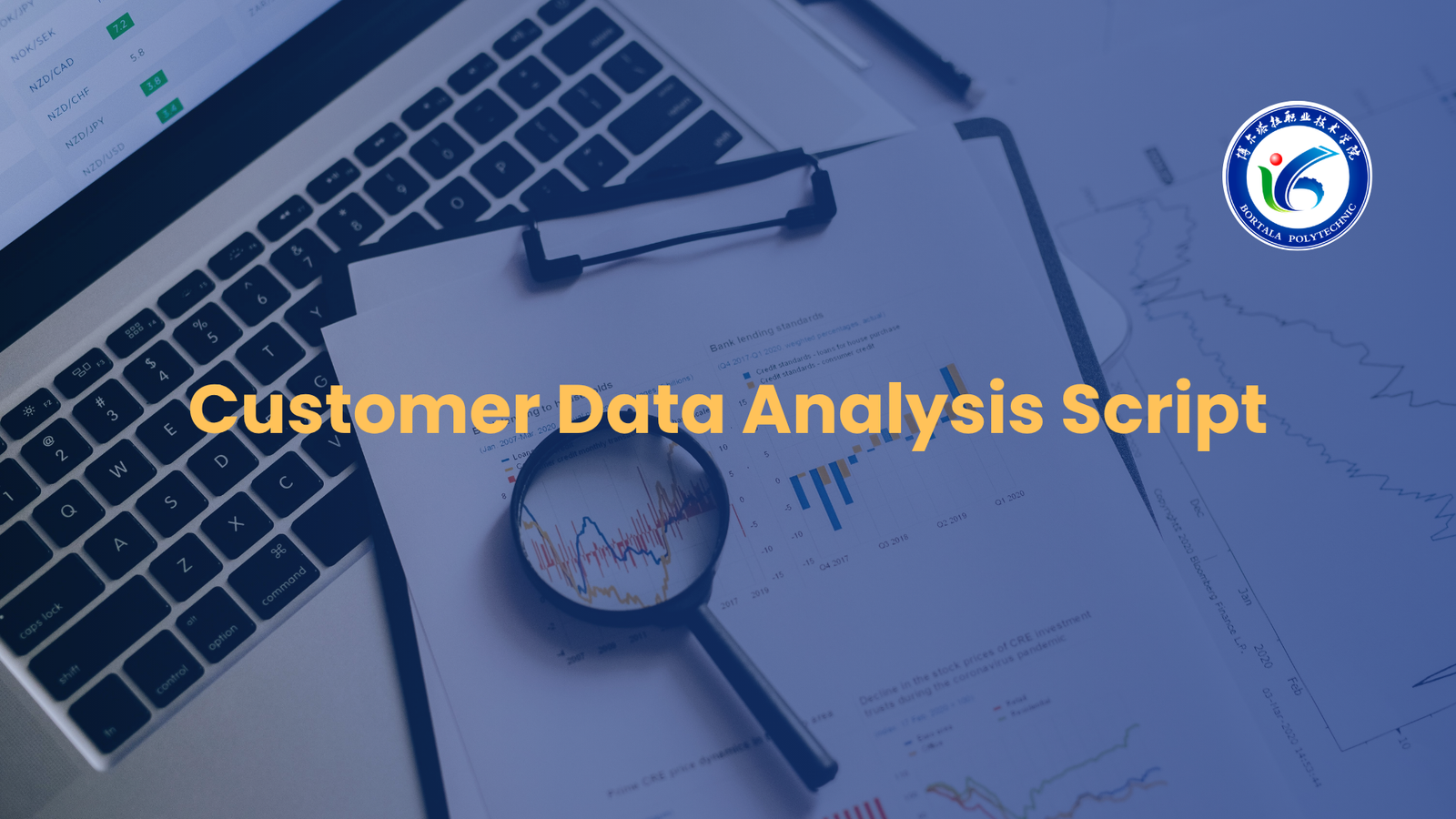 Customer Data Analysis Script