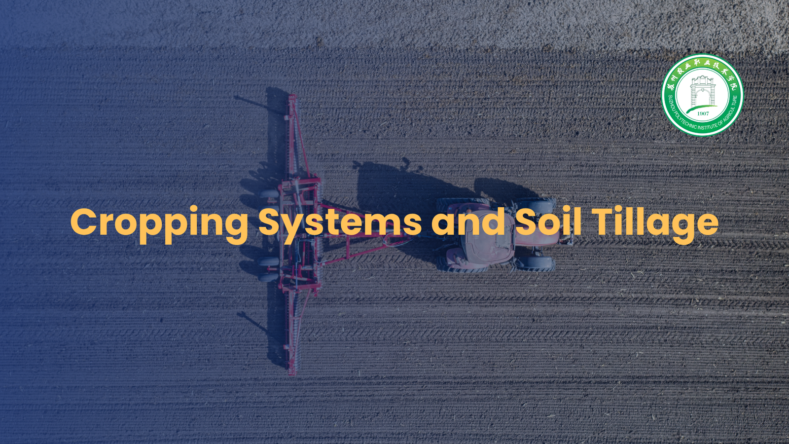 Cropping Systems and Soil Tillage
